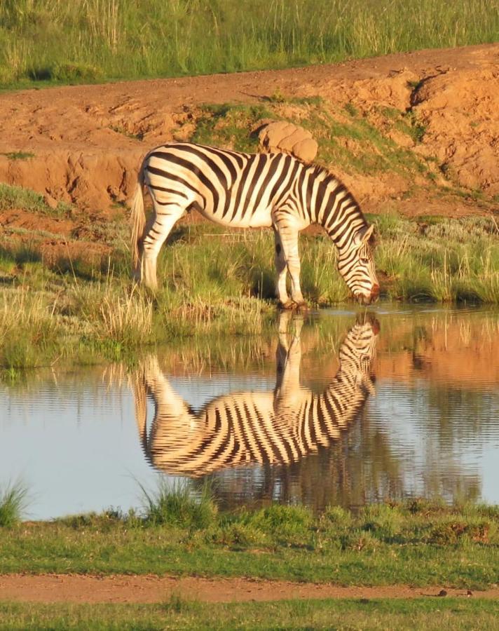 Letsatsi Game Lodge Smithfield Εξωτερικό φωτογραφία