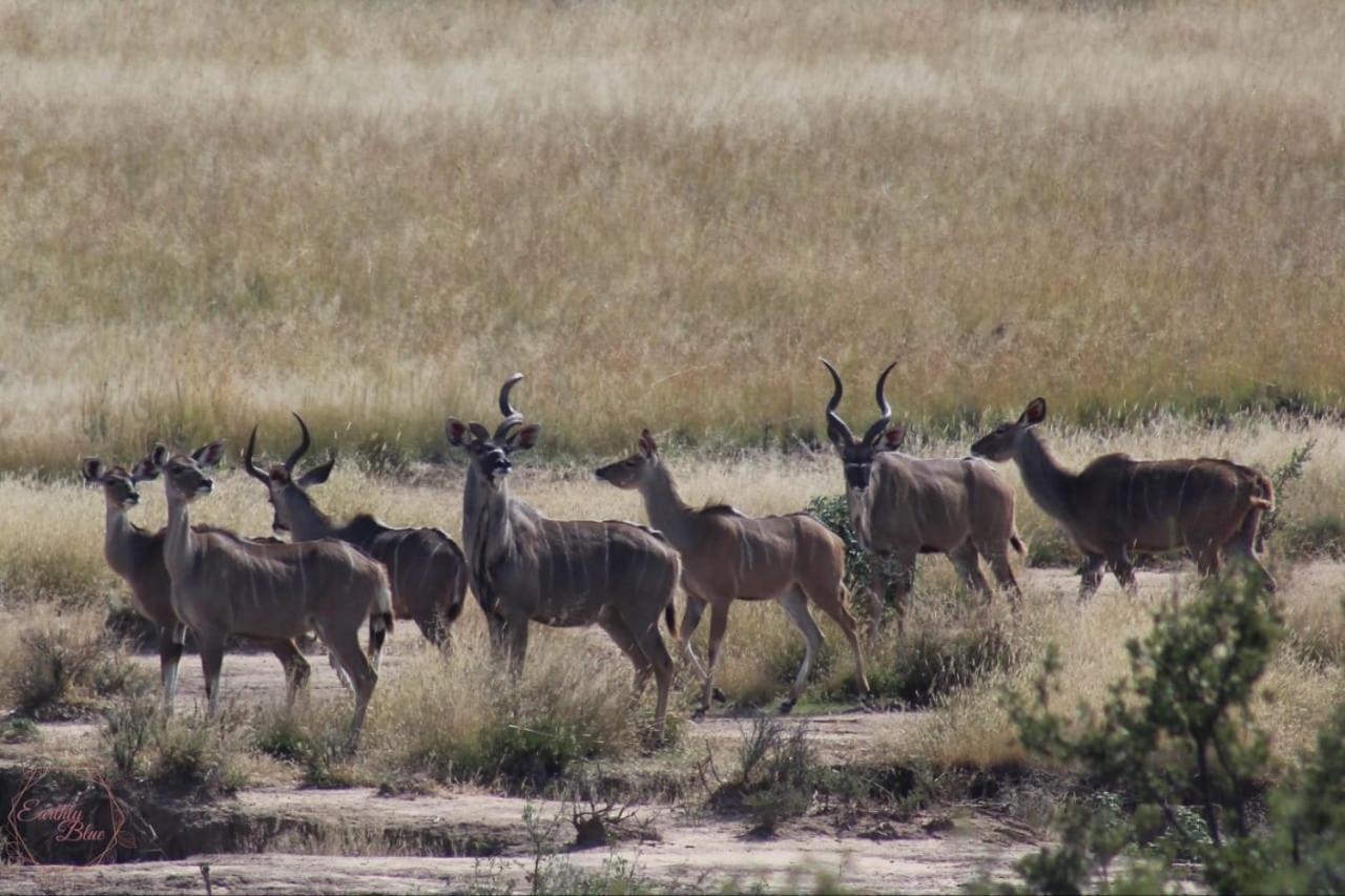 Letsatsi Game Lodge Smithfield Εξωτερικό φωτογραφία