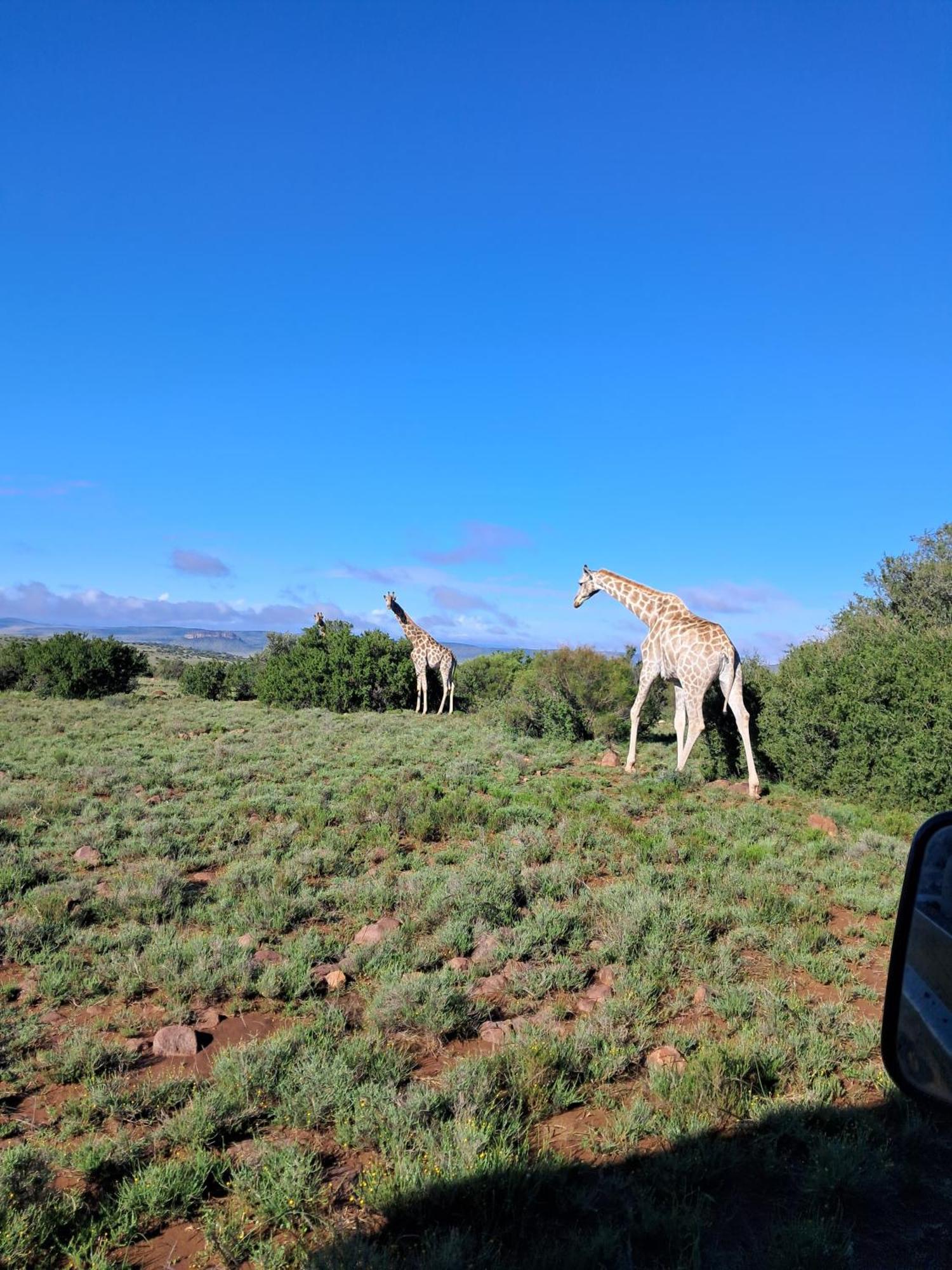 Letsatsi Game Lodge Smithfield Εξωτερικό φωτογραφία