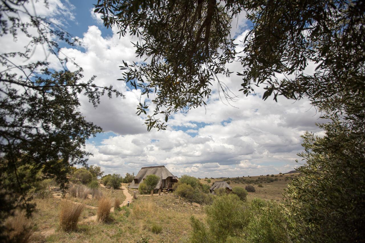 Letsatsi Game Lodge Smithfield Εξωτερικό φωτογραφία
