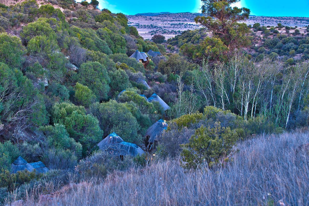 Letsatsi Game Lodge Smithfield Εξωτερικό φωτογραφία